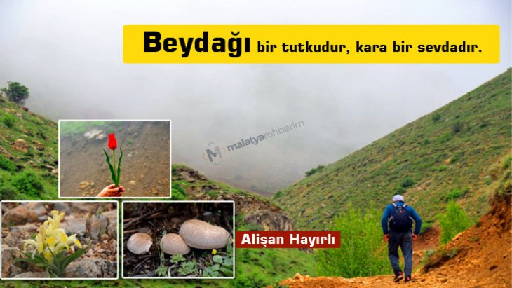 Beydağı bir tutkudur, kara bir sevdadır.