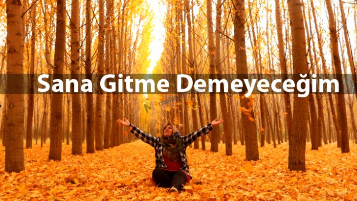Sana Gitme Demeyeceğim